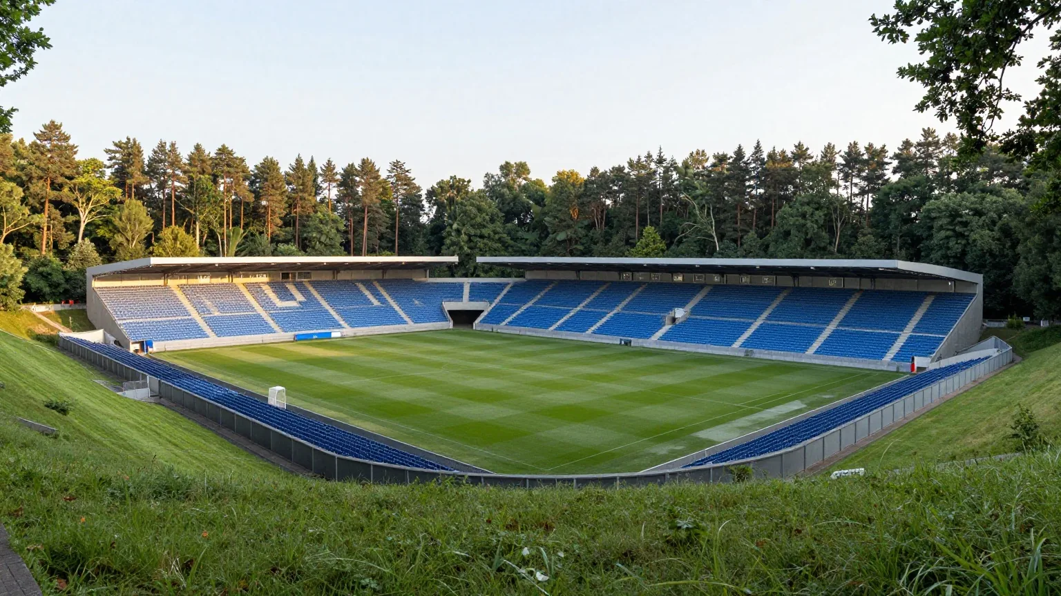 Modernes Fußballstadion mitten im Wald aus hohen Kiefern und Eichen im Abendlicht eines Spätsommertags