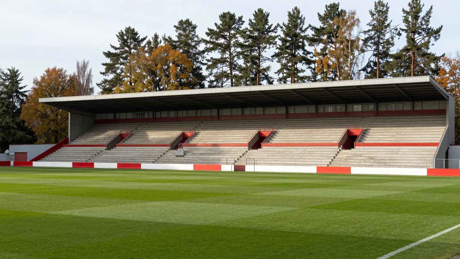 Kompaktes Fußballstadion mit steilen überdachten Stehplätzen zwischen hohen Kiefern und Birken im Herbstlicht